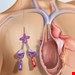  کاتتر ورید مرکزی ساب کلاوین یا ژاگولار سه راه بایوسنس 7*20 ساخت چین